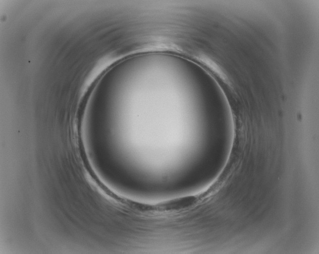 X0000080751468200612151302