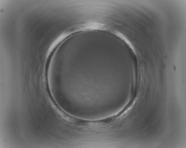 X0000080751469200612151302