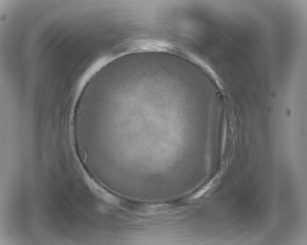 X0000080751471200612151302