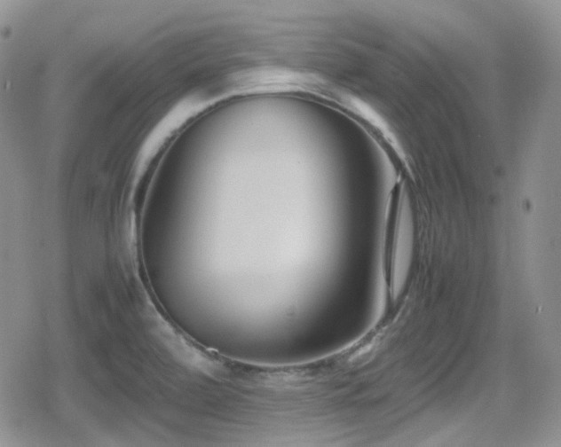 X0000080751472200612151302