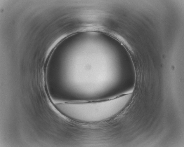 X0000080751476200612151302