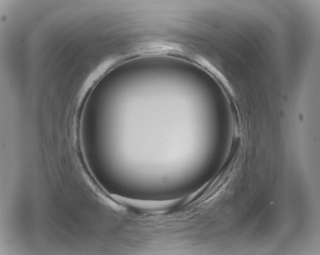 X0000080751477200612151302