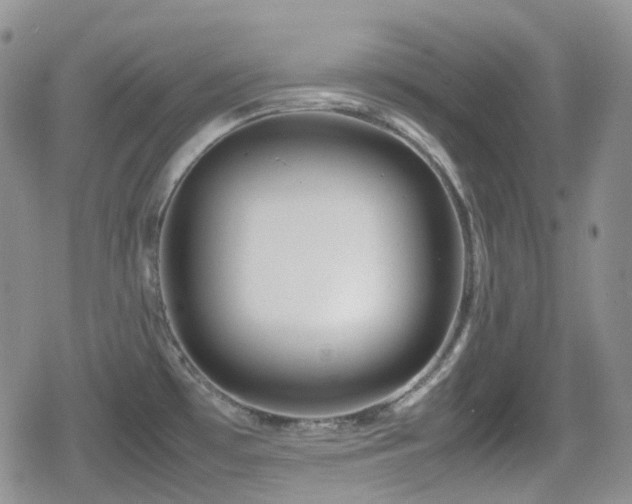 X0000080751481200612151302