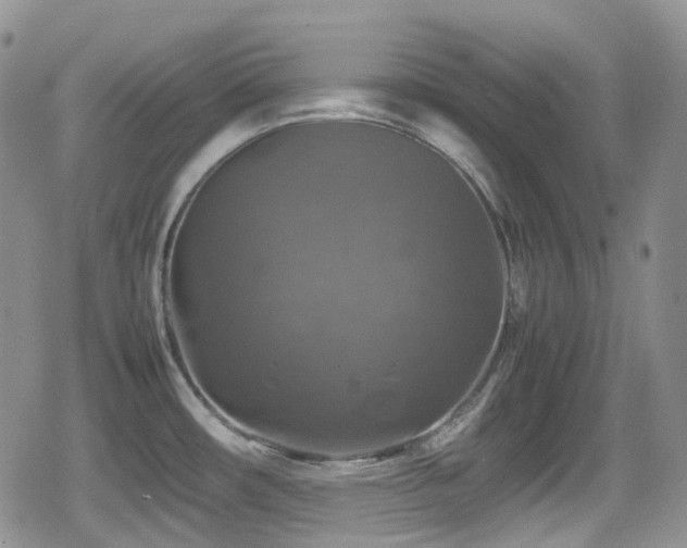 X0000080751482200612151302