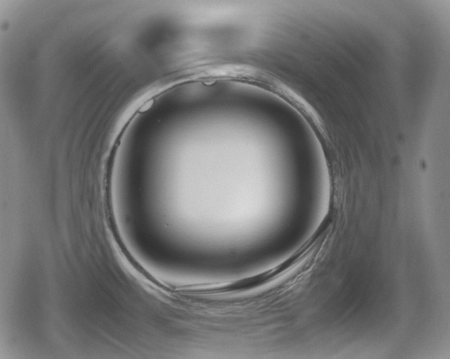 X0000080751483200612151302