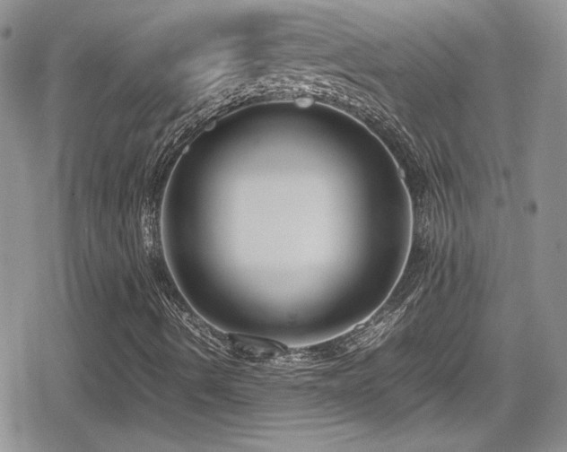 X0000080751490200612151301