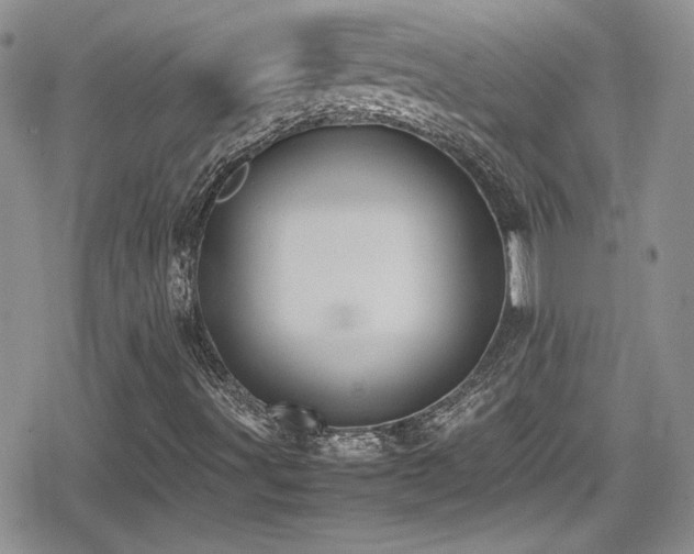 X0000080751491200612151301
