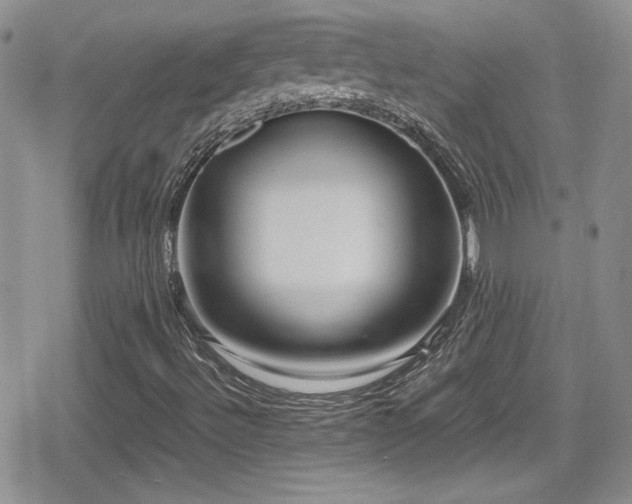 X0000080751492200612151301
