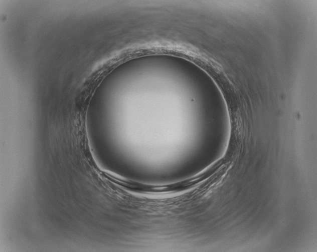 X0000080751494200612151301