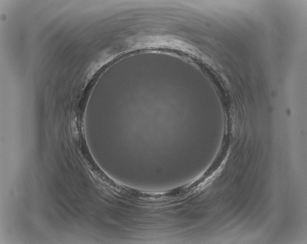 X0000080751497200612151301