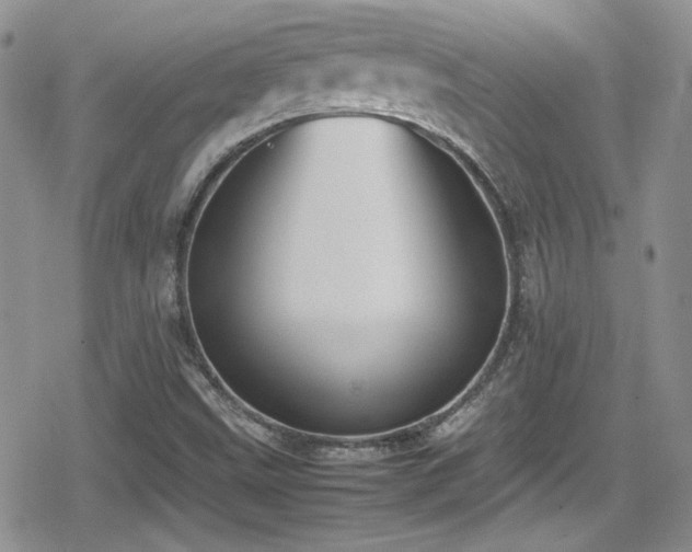 X0000080751499200612151301