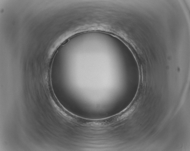 X0000080751500200612151301