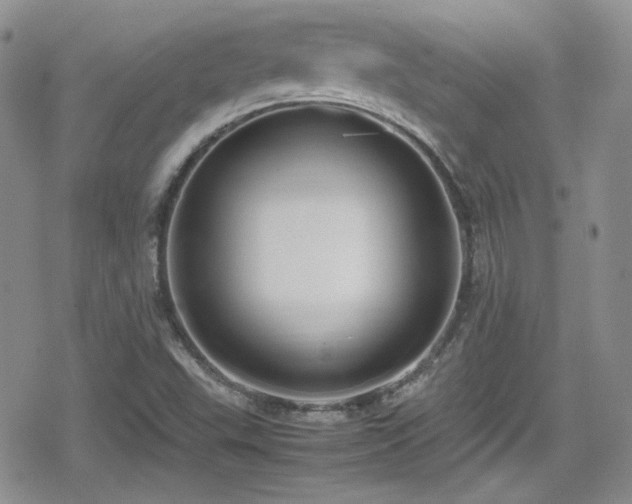 X0000080751503200612151301