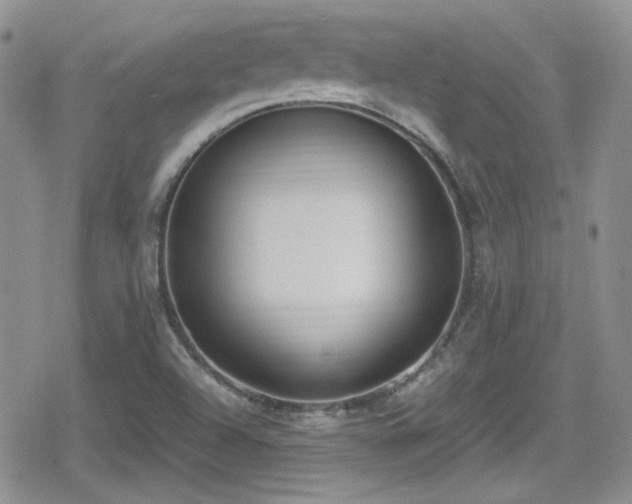 X0000080751504200612151301