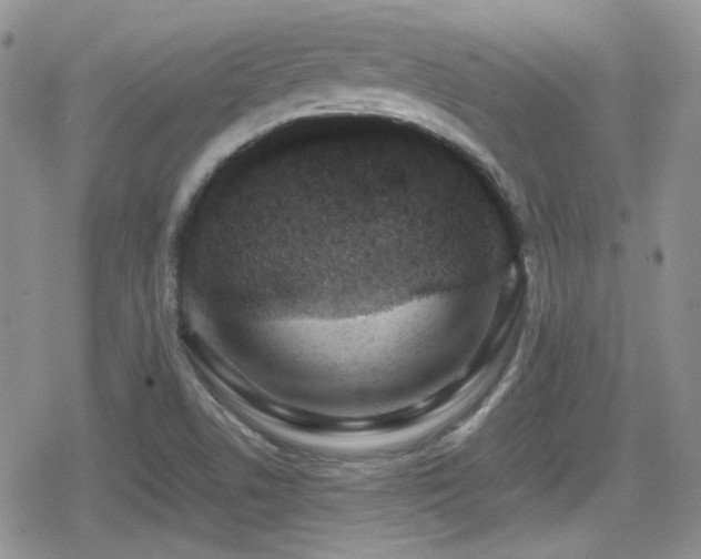 X0000080751506200612151301