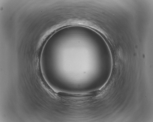 X0000080751507200612151301
