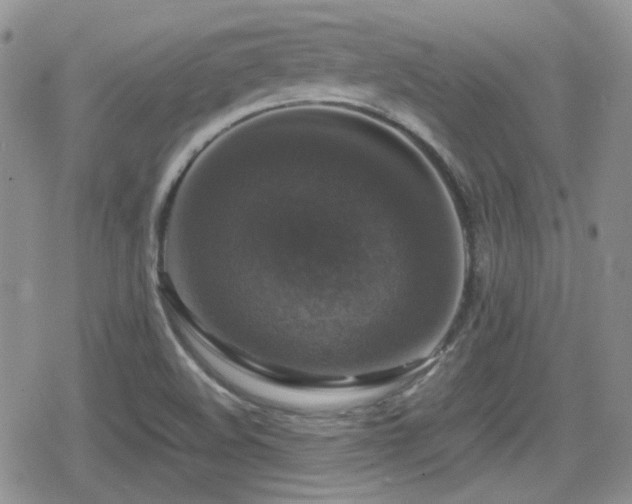 X0000080751508200612151301