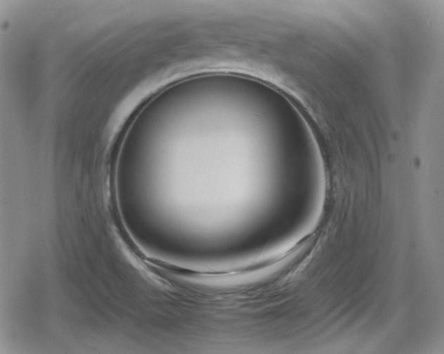 X0000080751511200612151301