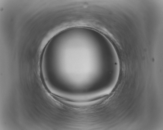 X0000080751512200612151301