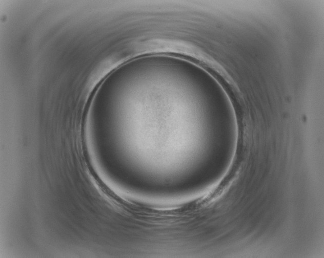 X0000080751513200612151301