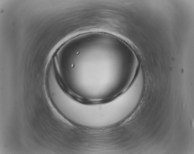 X0000080751518200612151301