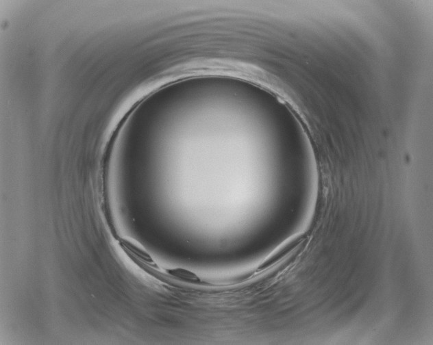 X0000080751531200612151302