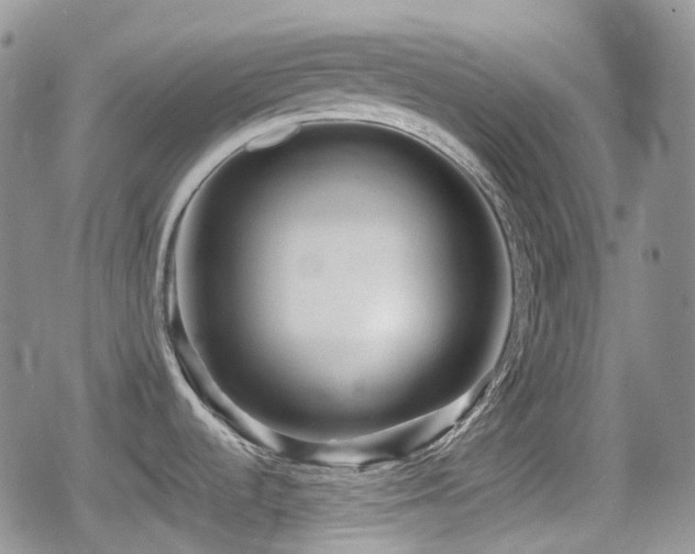 X0000080751536200612151302