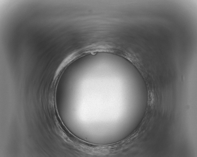X0000080750004200612221356