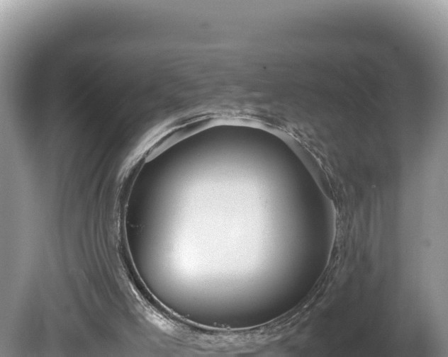 X0000080750005200612221356