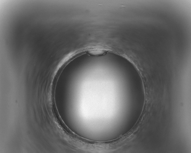 X0000080750008200612221356