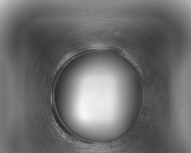 X0000080750011200612221356