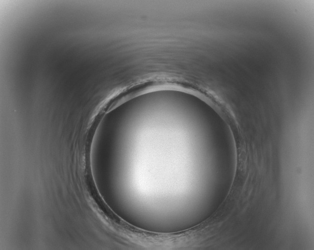 X0000080750015200612221356