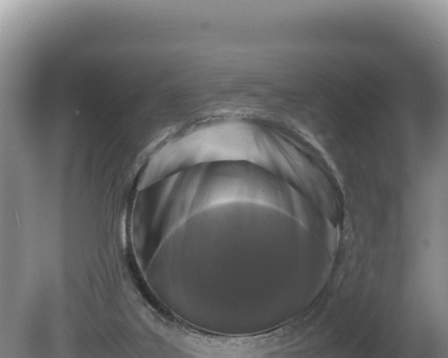 X0000080750019200612221356