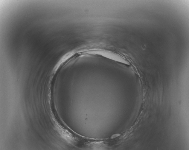 X0000080750054200612221355