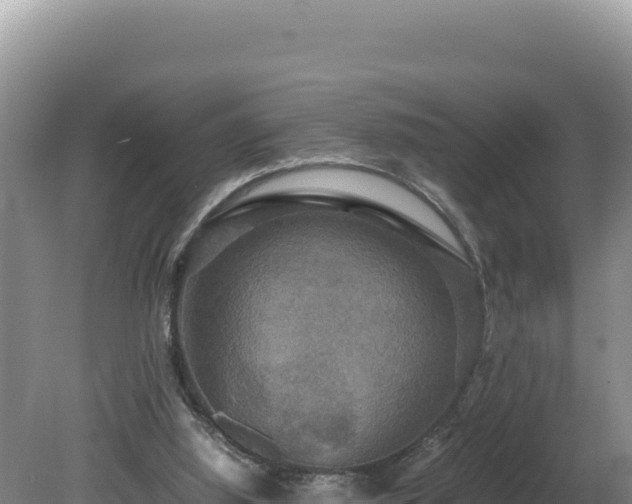 X0000080750060200612221355