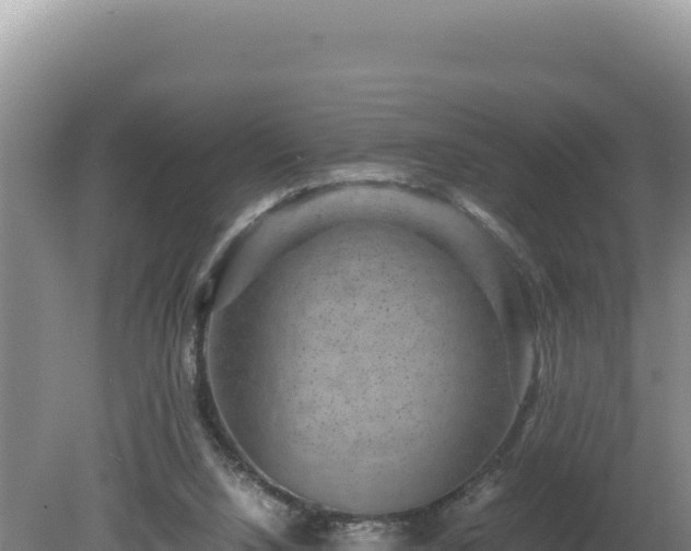 X0000080750064200612221355