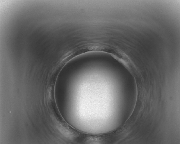 X0000080750071200612221355