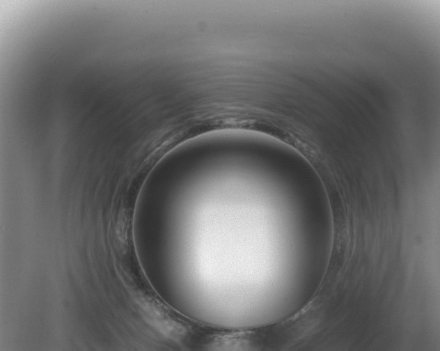 X0000080750078200612221355