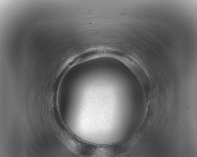 X0000080750111200612221355