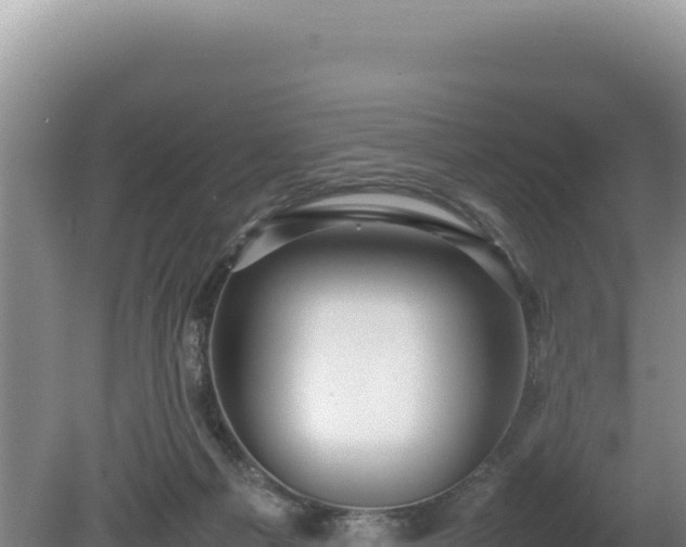 X0000080750121200612221354