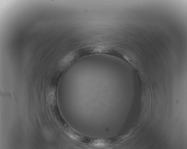 X0000080750127200612221354