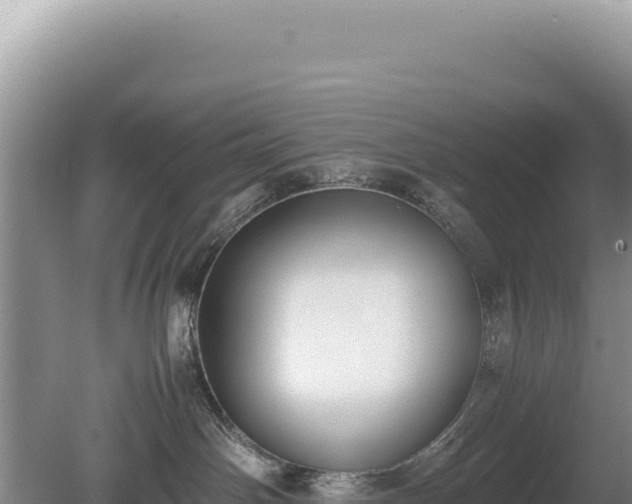 X0000080750142200612221354