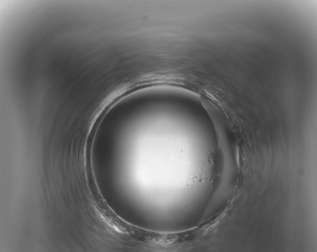 X0000080750148200612221353