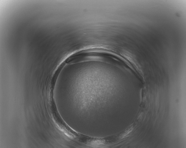 X0000080750156200612221353