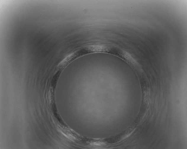 X0000080750165200612221354