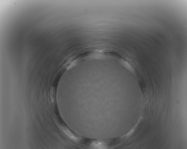 X0000080750174200612221354