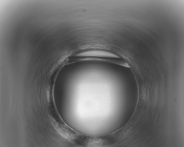 X0000080750206200612221353