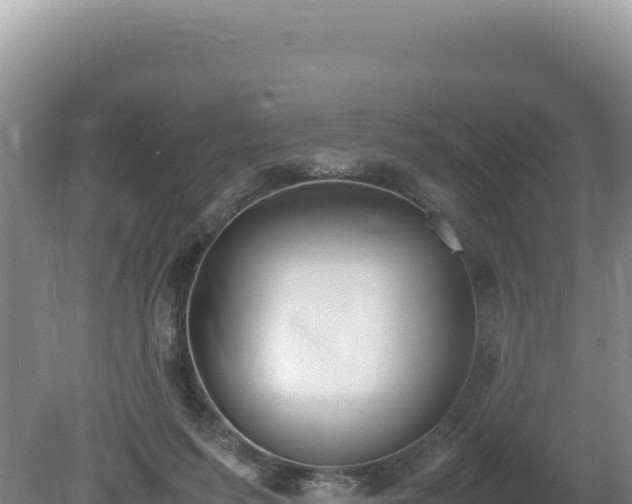 X0000080750215200612221353