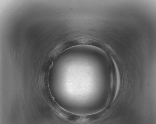 X0000080750217200612221353