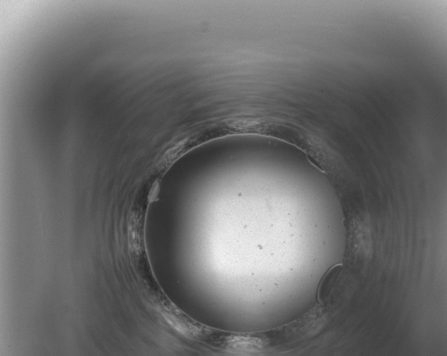 X0000080750234200612221353